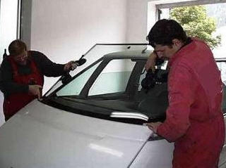 imagen1